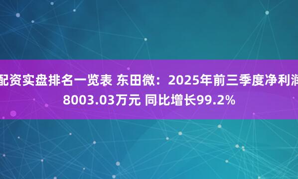 配资实盘排名一览表 东田微：2025年前三季度净利润8003.03万元 同比增长99.2%